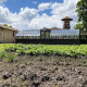 Serre de jardin à l'ancienne AMBOISE